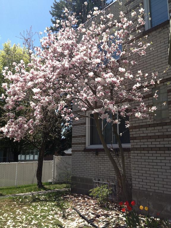 Magnolia B&B Granby Buitenkant foto