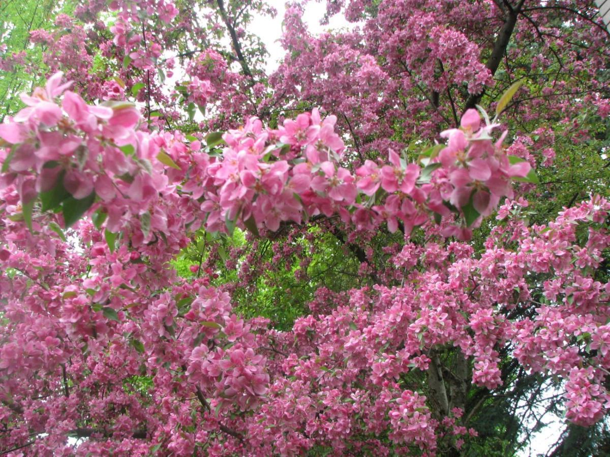 Magnolia B&B Granby Buitenkant foto